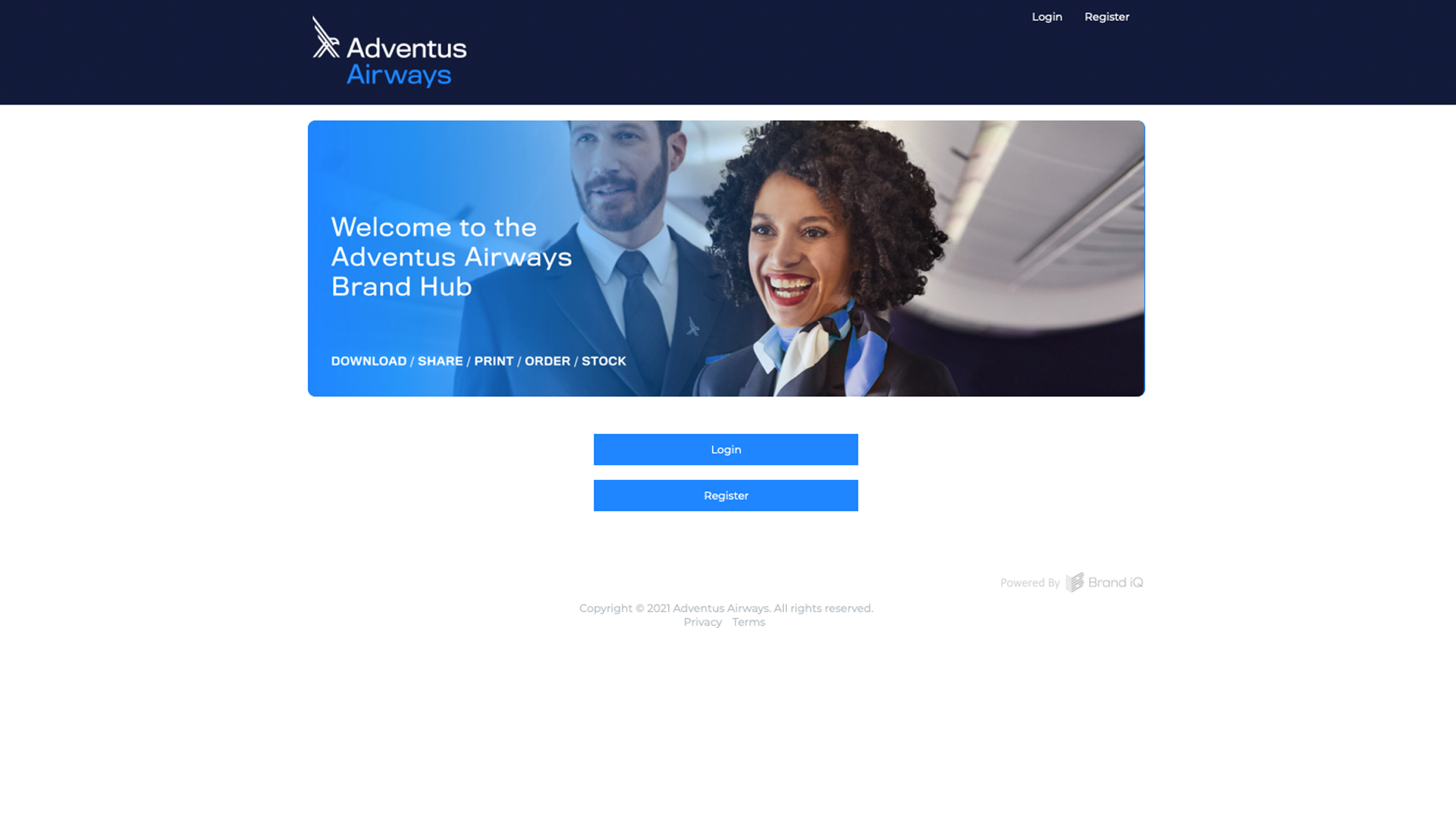 screenshot of Brand iQ